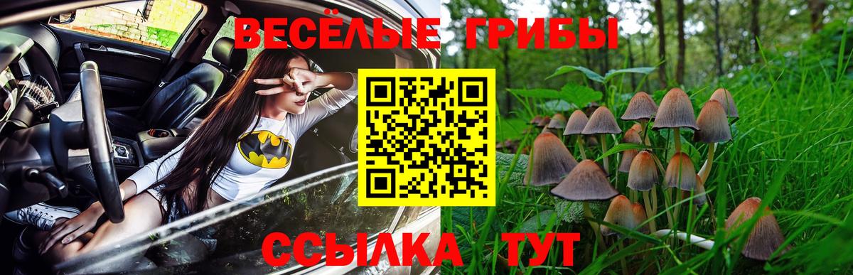 Псилоцибиновые грибы прущие грибы Егорьевск